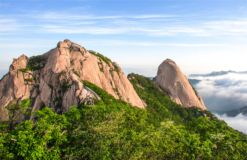 도심등산관광안내서